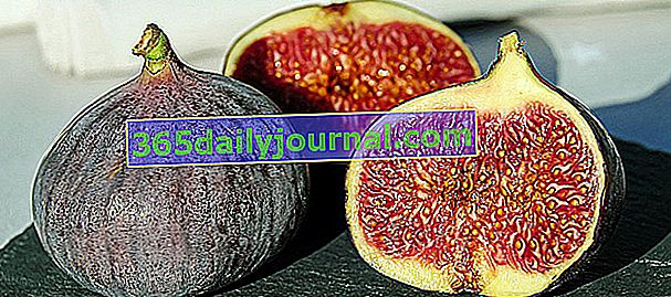 Mor incir: incir hasadı, depolanması ve kullanılması