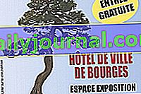 Výstava bonsajov 2017 v Bourges (18)
