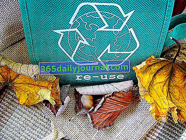 Światowy Dzień Recyklingu 15 listopada
