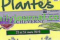 Festival de plantas 2019 en Cheverny (41)