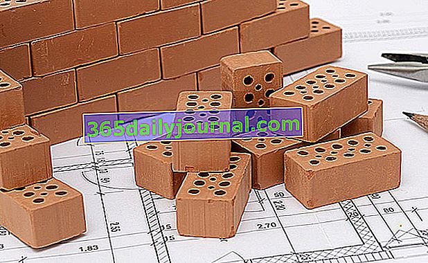 Budowa domu, cegły lub bloku: zalety i wady