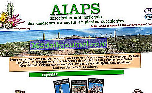 AIPAS (Uluslararası Kaktüs ve Etli Bitki Severler Derneği)