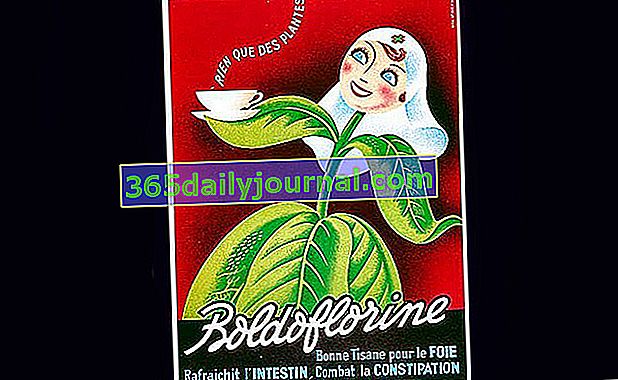 boldoflorine, boldoflorine, karaciğer için doğru bitki çayı 