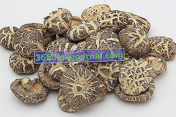 suszone shiitake, soczewica dębowa (Lentinula edodes) lub pachnące grzyby 