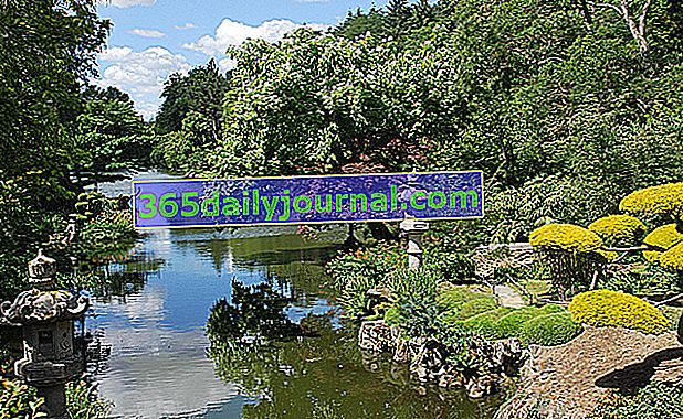 Doğu Parkı ve Maulévrier Japon Bahçesi - Maine-et-Loire (49)