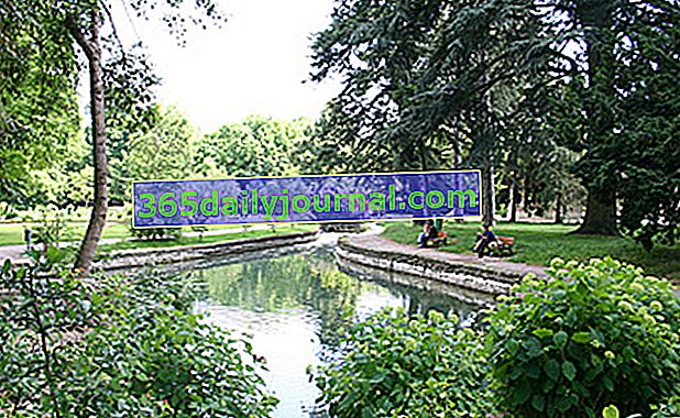 Dijon Jardin des Sciences Botanik Bahçesi (21)