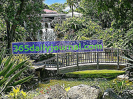 Deshaies Botanik Bahçesi (Guadeloupe)