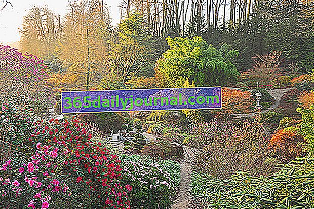 Yukarı Brittany'deki Foltière çiçek parkı (35)