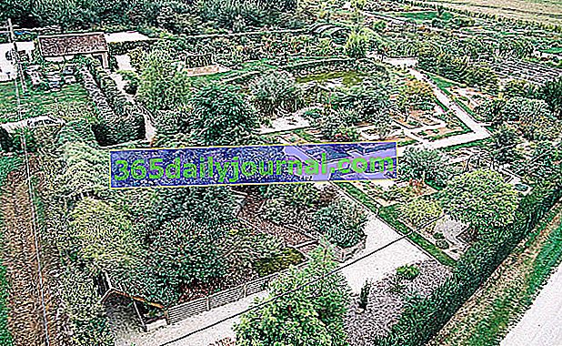 Marnay-sur-Seine (Aube) botanik bahçesi