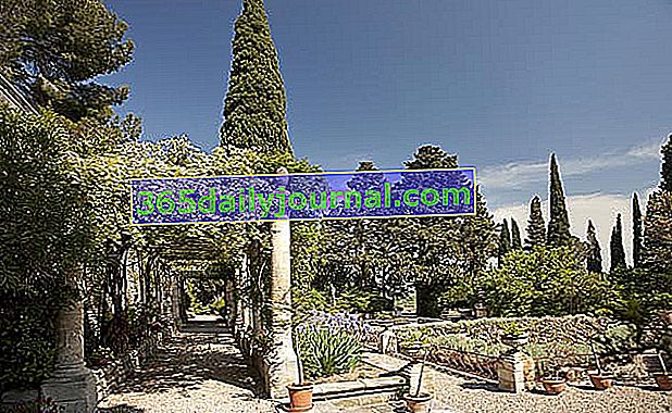 Akdeniz bahçesi