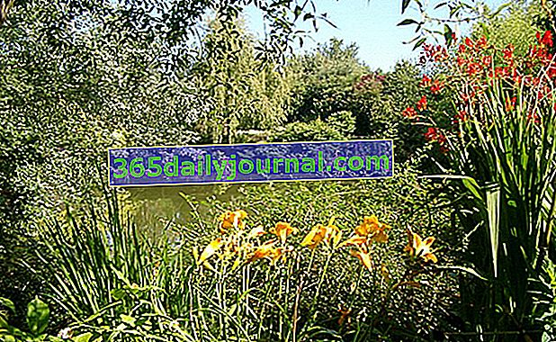 Çiçek parkı Jardin d'Elle - Normandiya (50)
