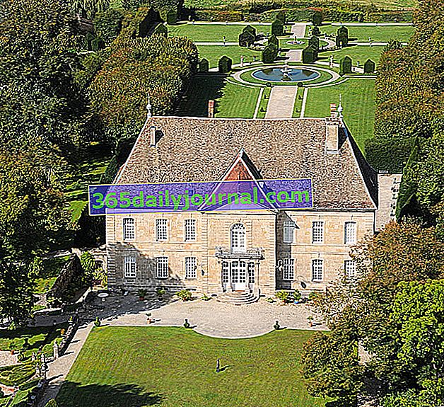 Château de Vaire-Le-Grand Fransız bahçeleri (25)