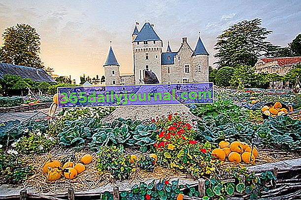 Ogród zamku Riveau - Indre-et-Loire (37)