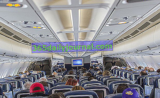 Путешествие с собакой в ​​самолет: советы и правила