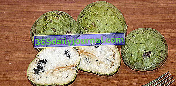 Ябълка или черимола от крема (Annona cherimola), плодове от черимоя