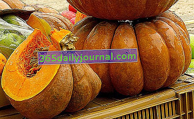 Тиква от прованс (Butcurbita moschata) или индийско орехче: засаждане и отглеждане