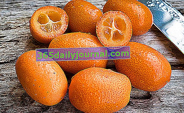 Kumquat confit s cukrem
