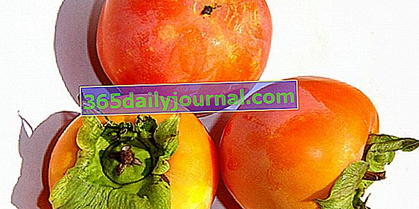Caqui (Diospyros kaki) o caqui japonés, una fruta rica en antioxidantes