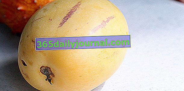 Hruškový meloun (Solanum muricatum) nebo pepino