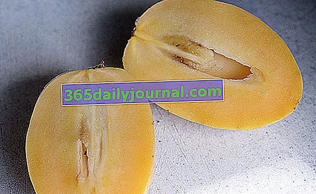 kruška-dinja (Solanum muricatum) ili pepino