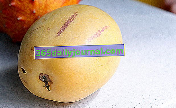 pera-melón (Solanum muricatum) o pepino