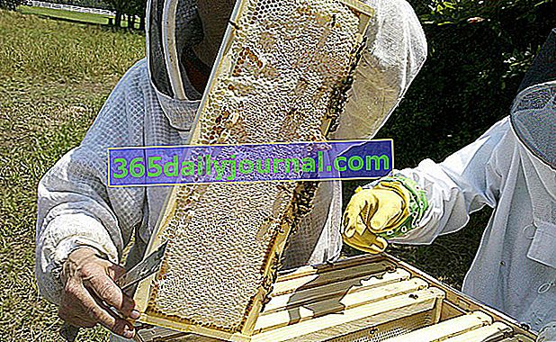 osnovna oprema pčelara