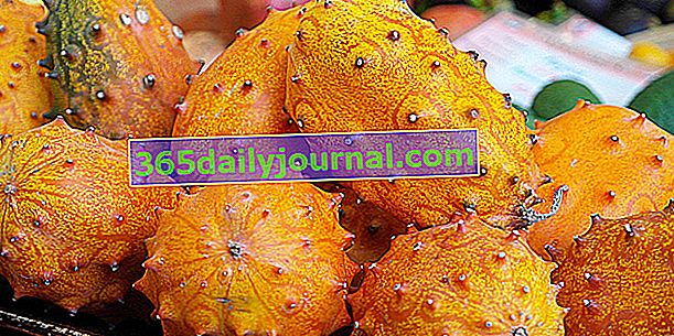 Кивано (Cucumis metuliferus), рогатая дыня или метулон