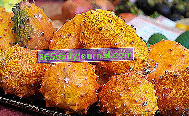 Kiwano (Cucumis metuliferus), rohatý melón alebo metulon