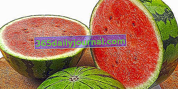 Meloun (Cucumis citrullus), hasící žízeň a dietní letní ovoce