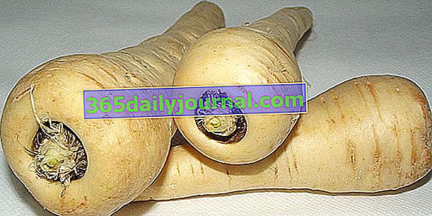 Pasternak (Pastinaca sativa), słodkie i słodkie warzywo korzeniowe