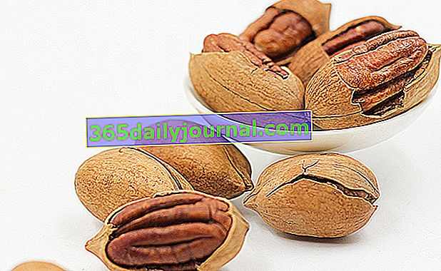 pekanové ořechy velmi bohaté na lipidy