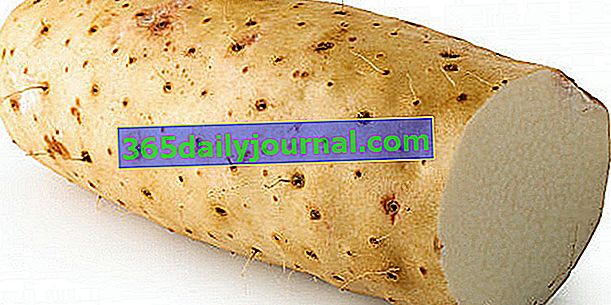 Китайский батат (Dioscorea batatas), картофельный ямс