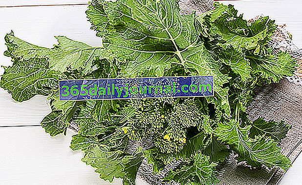  korijen brokule (Brassica rapa var. ruvo) ili cime di rapa