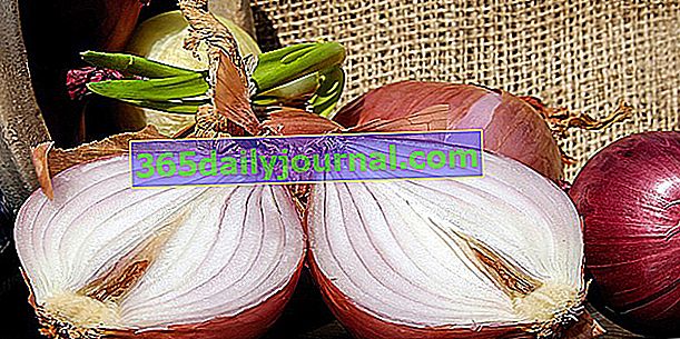 Лук (Allium cepa), незаменимый на кухне, заставляющий плакать