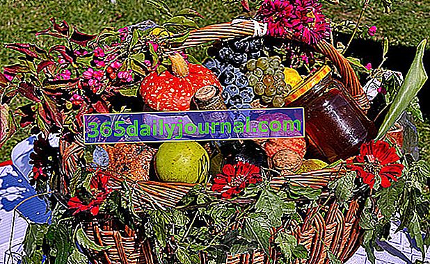 cesta de verduras para el San Fiacre