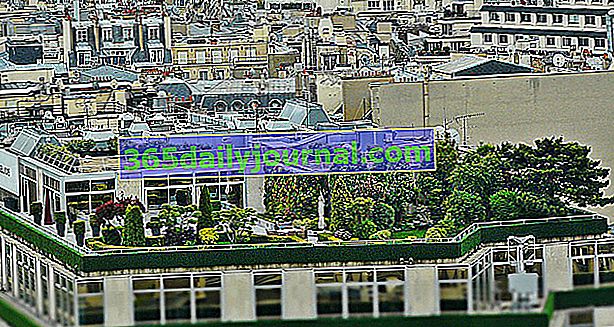 zelená střešní terasa ve městě