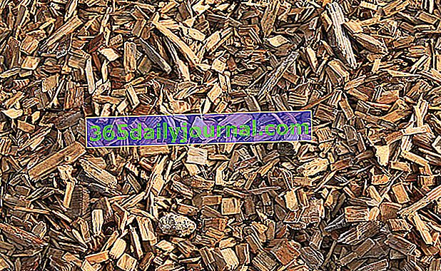 BRF (Raméal Fragmented Wood) 