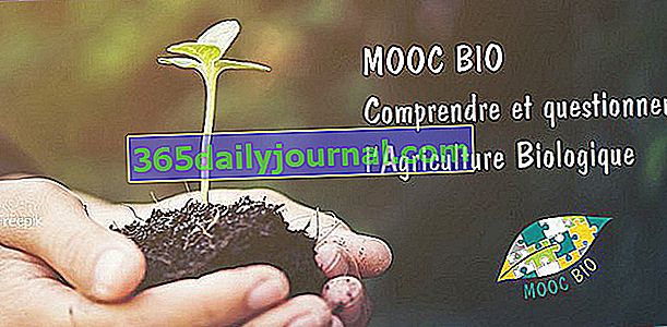 MOOCs, за да научите повече за биологичното градинарство, ботаниката, екологията ...