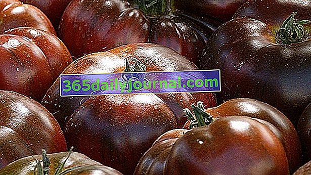 Krymská čierna paradajka