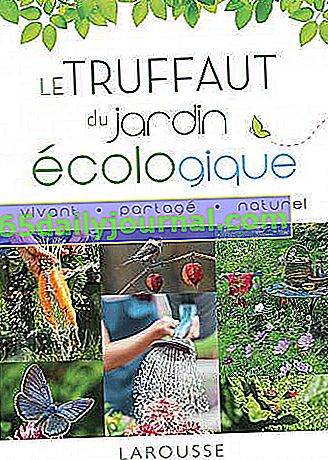 Le Truffaut z ekologické zahrady