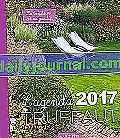 Дневният ред на Truffaut за 2017 г.