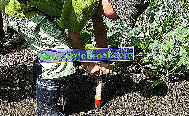seznámit děti se zahradnictvím