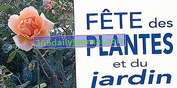 Festival rastlin in vrtov posesti Péré v Prissé-la-Charrière (79)
