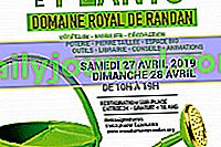 Седьмой Randanplants в Рандане (63)