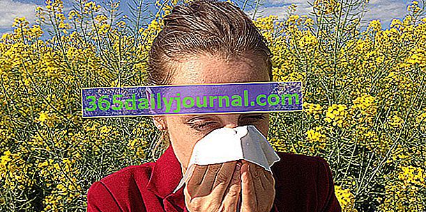 Переосмислення плантацій, щоб уникнути алергії на пилок