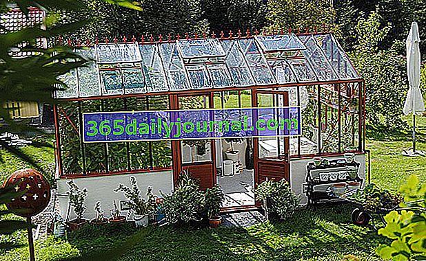 skleník retro typu na zahradě