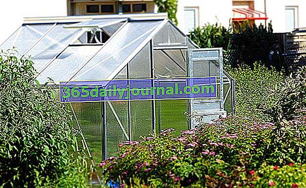 inštalácia skleníka v záhrade