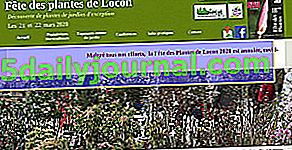 Locon Plant Festival 2019 (62) 