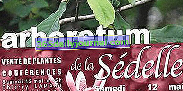 Podzimní dny rostlin 2018 v Arboretu de la Sédelle - Crozant (23)
