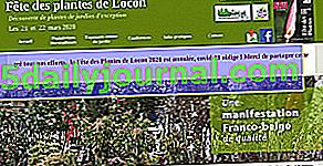 Фестивал на растенията 2020 в Локон (62)
